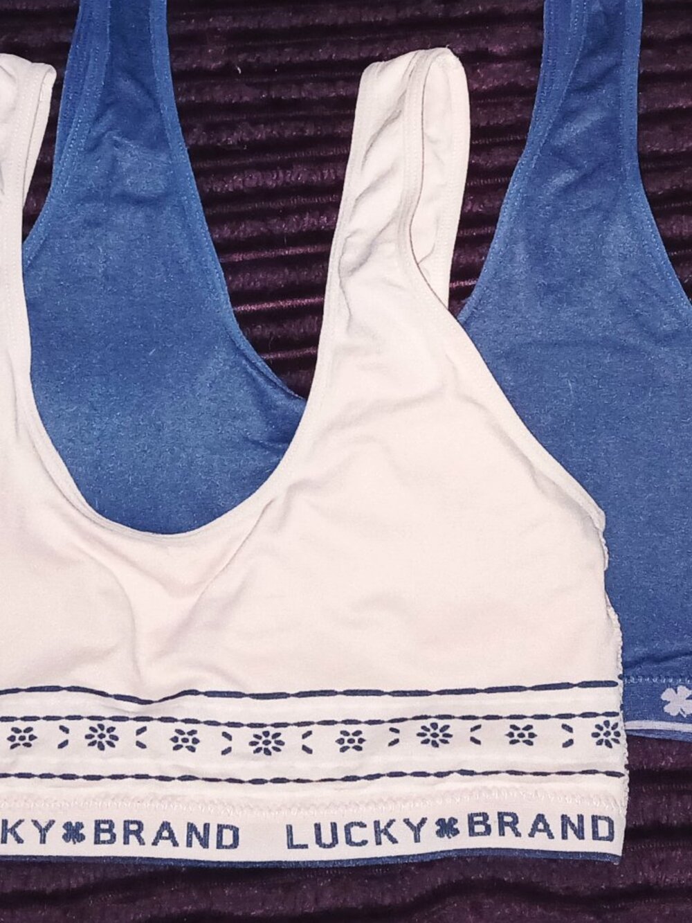 Pair of Lucky Sports Bras